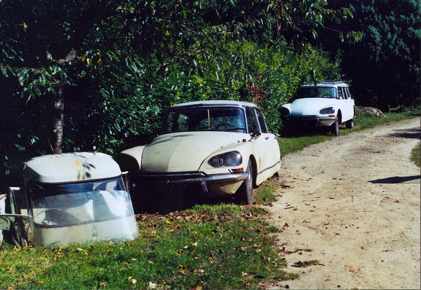 ds21